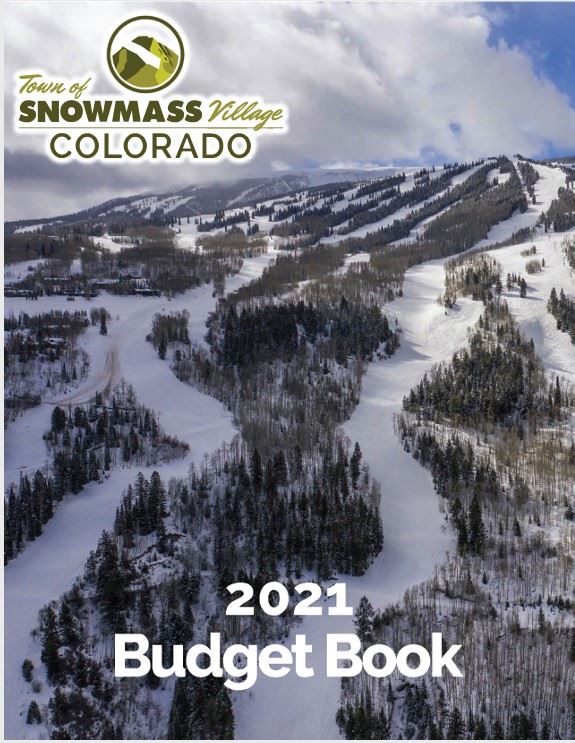 Budget book 2021