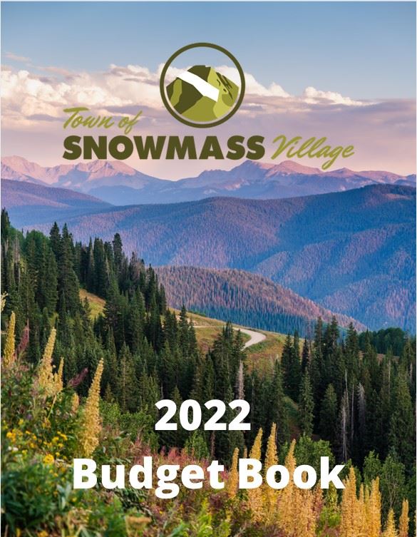 Budget book 2022